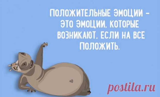 Немного забавной философии- На жизнь нужно смотреть проще!