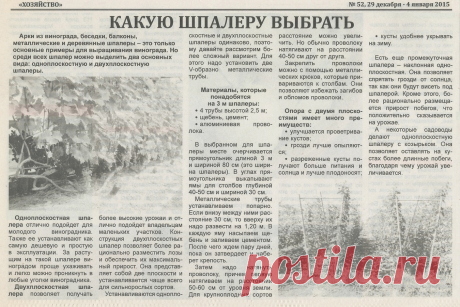 Какую шпалеру для винограда выбрать