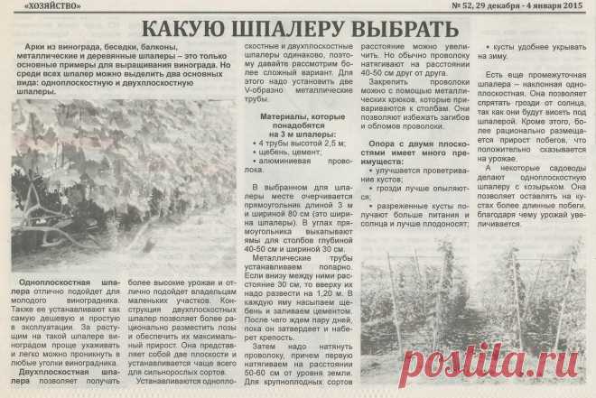 Какую шпалеру для винограда выбрать