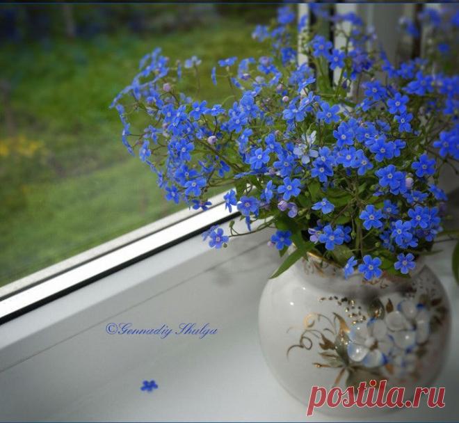 (19) Одноклассники