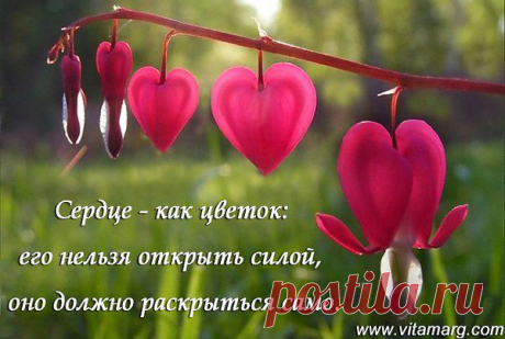 Интересные новости