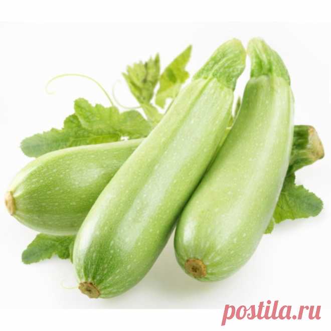 10 фактов о кабачках