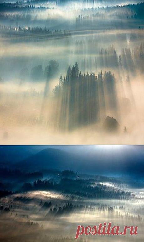 &amp;#9775; ������, ��� ����� ������... &amp;#9775; | VK
Серия фотографий &quot;Прикосновение солнца&quot; фотографа из Польши Богуслава Стремпел.