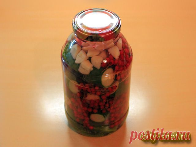 Консервированные огурцы с красной смородиной - без уксуса!