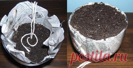 Емкость для рассады с самополивом из пластиковой бутылки