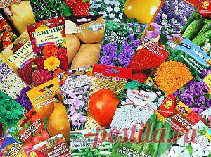 Ключевые моменты при покупке семян | Дача - впрок