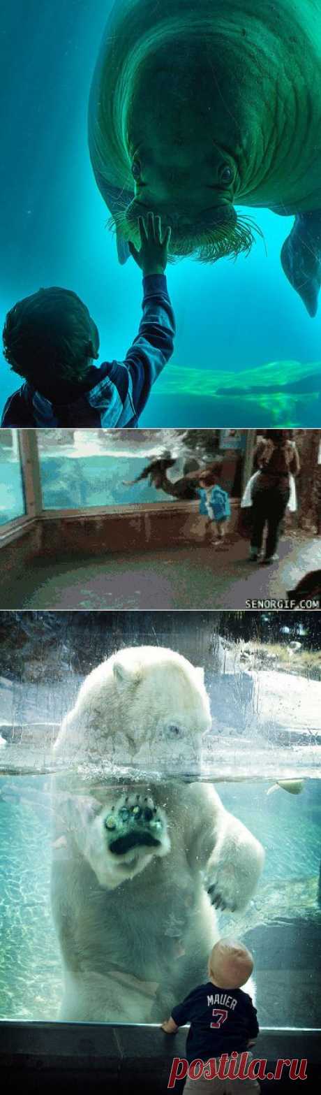 Вот такое воссоединение с природой