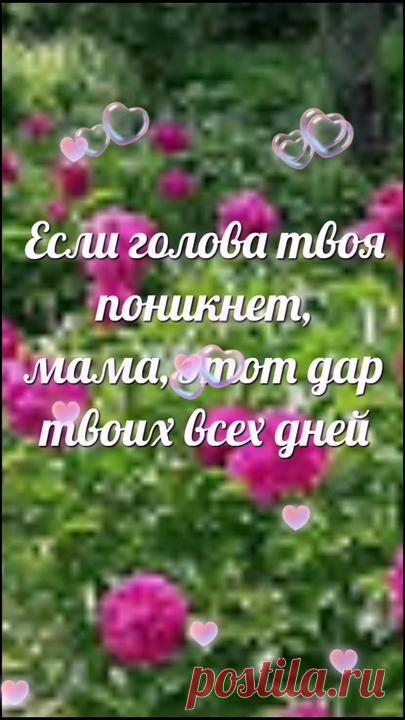 #мамочка #стихи#Владимир Глазунов | TikTok