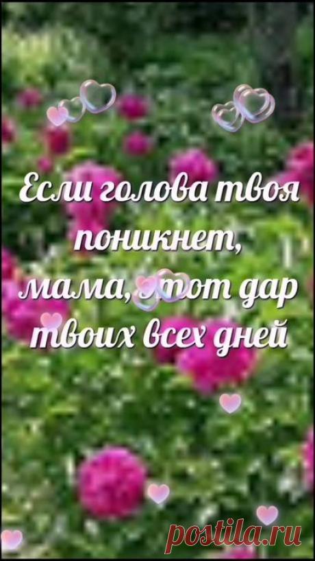 #мамочка #стихи#Владимир Глазунов | TikTok