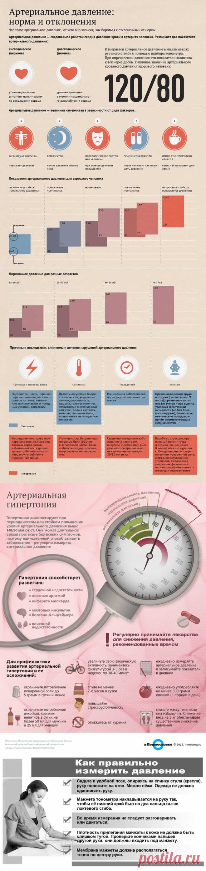 ИНФОГРАФИКА: АРТЕРИАЛЬНОЕ ДАВЛЕНИЕ: НОРМА И ОТКЛОНЕНИЯ | МУЗА НАШЕГО ДВОРА