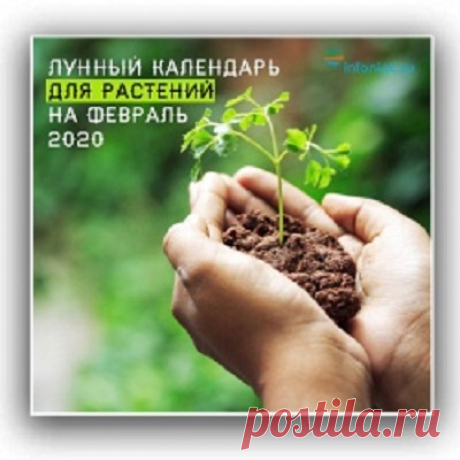 Лунный календарь для растений по дням на февраль 2020 год. - Познавательный сайт ,,1000 мелочей" - медиаплатформа МирТесен