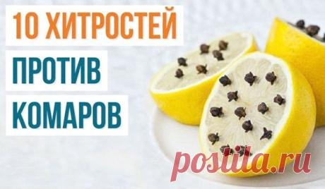 Письмо «Чем заняться в выходной: пикник, уличные тренировки и ужастик про скайп» — Surfingbird.ru — Яндекс.Почта