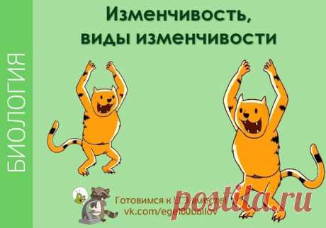 Изменчивостьвиды изменчивости
Просматриваем, изучаем, запоминаем, сохраняем!