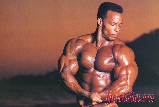 Как накачать бицепс концентрированным подъемом