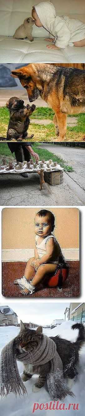 Позитив на выходные.
