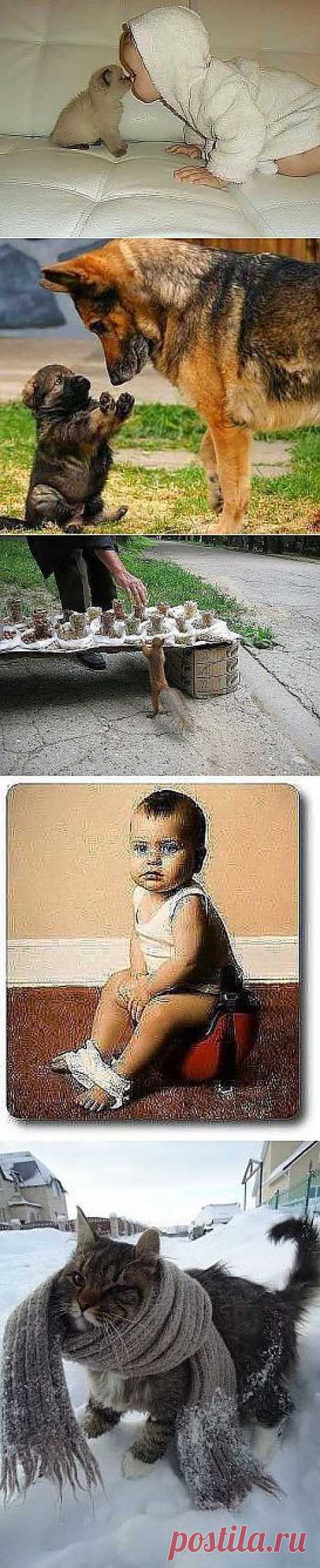 Позитив на выходные.