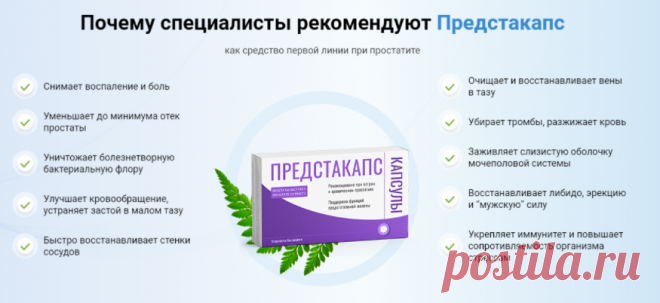 Предстакапс – описание.
Это натуральный комплекс для быстрого и эффективного восстановления предстательной железы мужчины. Он эффективен на всех стадиях лечения, а также для профилактики простатита. Препарат эффективен в любом возрасте и не имеет побочных эффектов. После курса применения средства, неприятные симптомы уходят, восстанавливается потенция и пропадает боль.