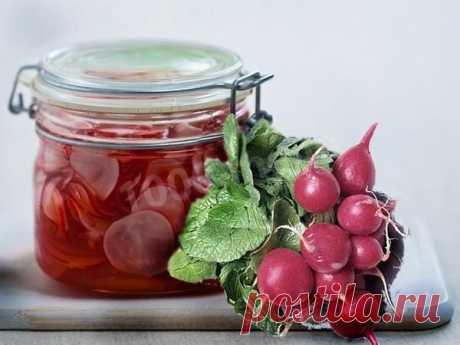 Редис консервированный (8 рецептов). » Женский Мир