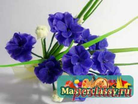 Холодный фарфор » Страница 3 » Master classy - мастер классы для вас