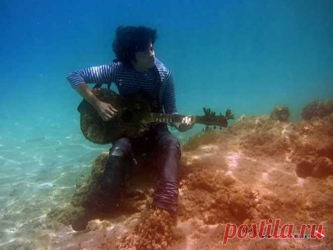 Дайвинг в Хургаде | Фотогалерея | Наша нырялка | Гитара под водой