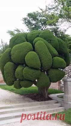 Pinterest