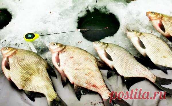 Интересный способ зимней ловли - 