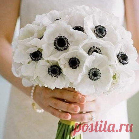(231) Pinterest • Всемирный каталог идей