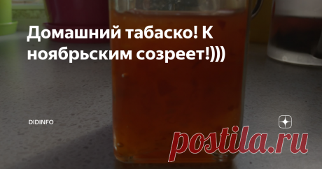 Домашний табаско! К ноябрьским созреет!))) Полностью закончена и сдана в печать книжка "Рецепты еврейской мамы. 30 лет спустя". Работа по 30 000 знаков в день + температура - славное сочетание)), но 10 авторских листов выдержаны тютелька в тютельку!
Сейчас предложат варианты обложки и поедем в типографию))). Устатала...
Теперь вот месяц отпаивать себя чайком и бутербродами с табаско! Коллеги-журналисты знают - это как после сдачи номера -