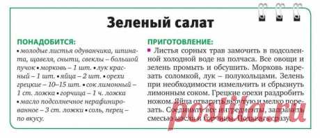 Зеленый салат из весенних трав
