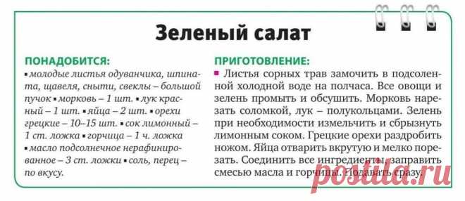 Зеленый салат из весенних трав