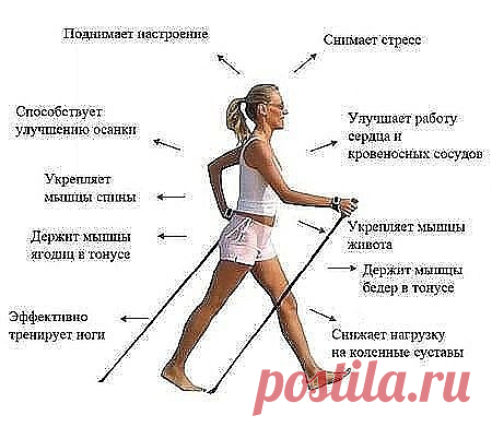 (78) Одноклассники