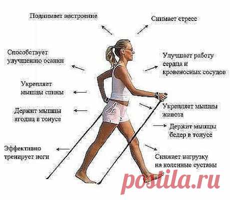 (78) Одноклассники
