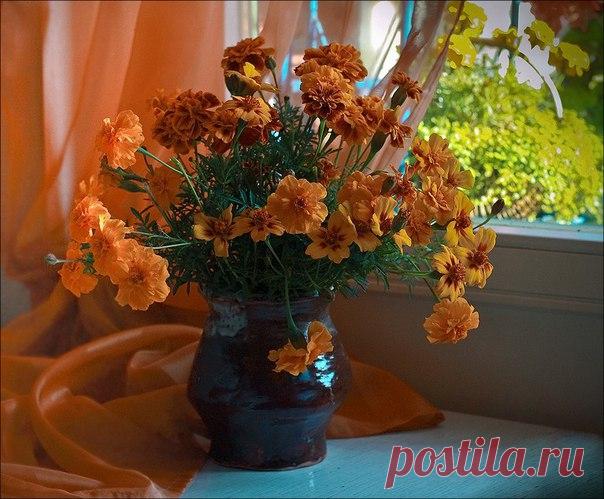 КАКОЙ СЕГОДНЯ ПРАЗДНИК? 24 Октября 2016 г. – Понедельник • Международный день школьных библиотек 17 лет • День Организации Объединенных Наций 68 лет • День любви к теплым носкам • День подразделений специального назначения ВС РФ 10 лет • Всемирный день информации о развитии 43 года • День памяти ракетчиков 56 лет • Праздник любителя бильярда • Всемирный день борьбы с полиомиелитом (World Polio Day) • День независимости - Замбия 52 года • День дипломатического работника - Кыргызстан • Именины у…