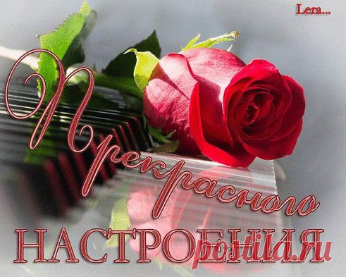 татьяна епишева отмечена Екатериной Тихоновой(Уфимцевой) в альбоме пожелания