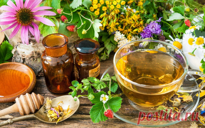 12 растений от простуды, которые можно вырастить на своем участке