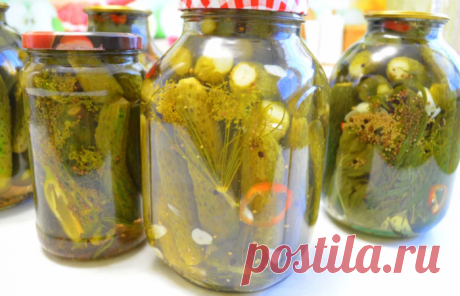 Огурцы МОЛОДЕНОВСКИЕ без уксуса - хрустящие ядреные огурчики на зиму