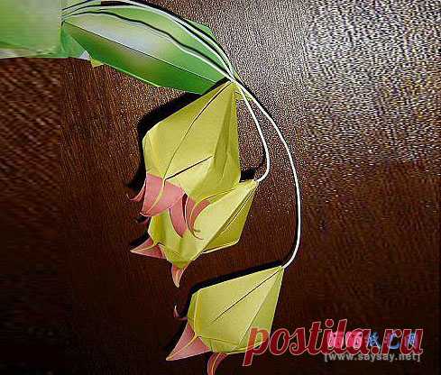 Белл орхидеи оригами Войти учебник _ _ Origami Origami Учебник - сушка на солнце бумага искусства сеть