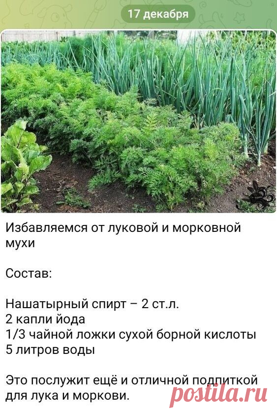 Фото 929441215452 из альбома Всё обо всём. Разместила Маргарита Кочетова (Спицына) в ОК