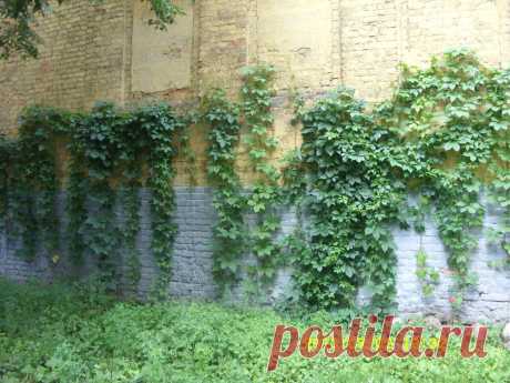 Фотографии Марины Григорьевой | 22 альбома