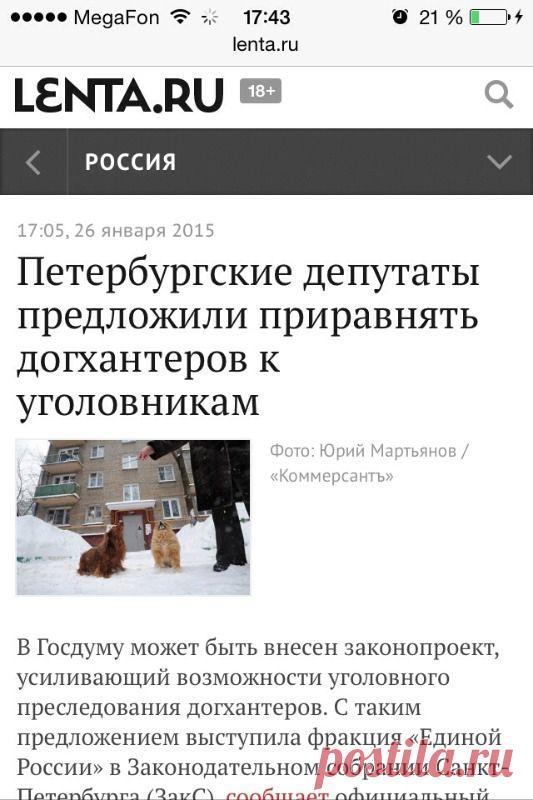 Радикал-Фото: Галерея