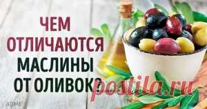 Как нужно говорить, чтобы к вашему мнению прислушивались