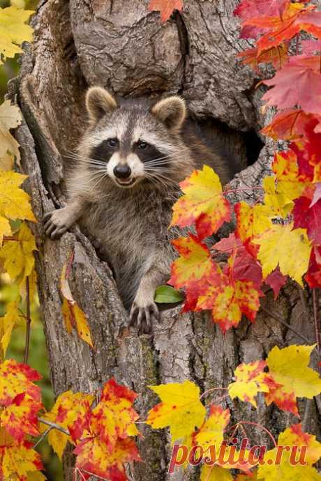 (via Oh oh, the cache has been muggled… | Hide It....