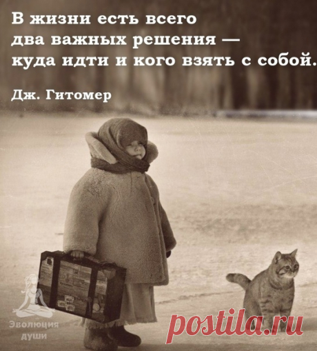 Эволюция души