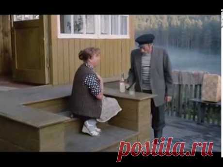 Инфаркт микарда. Любовь и голуби