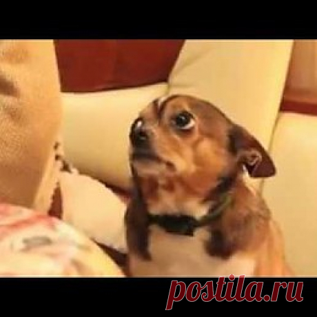 Интересные новости