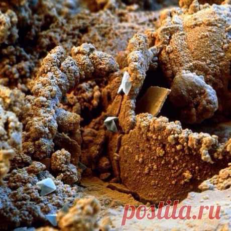 Поверхность ржавого гвоздя / Интересное в IT