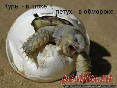 Немудрено
