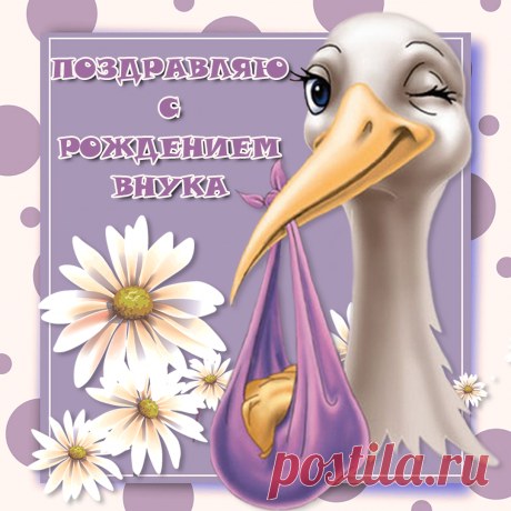 Картинки «С рождением внука» (35 фото) ⭐ Забавник