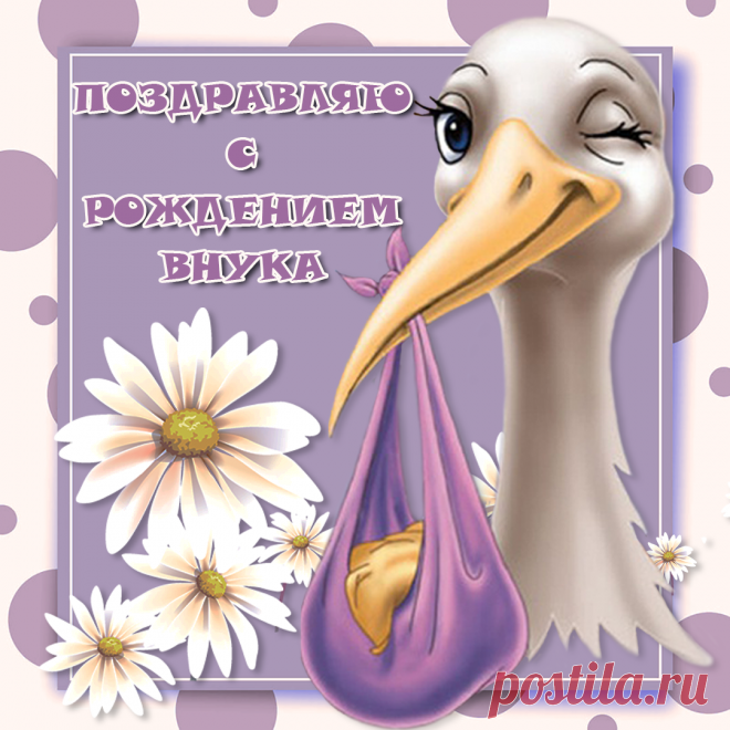 Картинки «С рождением внука» (35 фото) ⭐ Забавник