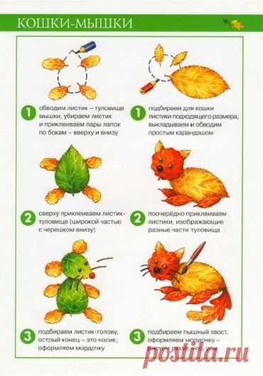 (1833) Pinterest
